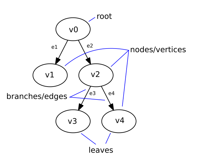 Phylogenetic tree example